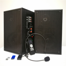 Banbantong constant change B560 multimedia active speaker 2 4G wireless microphone microphone handheld headset teaching