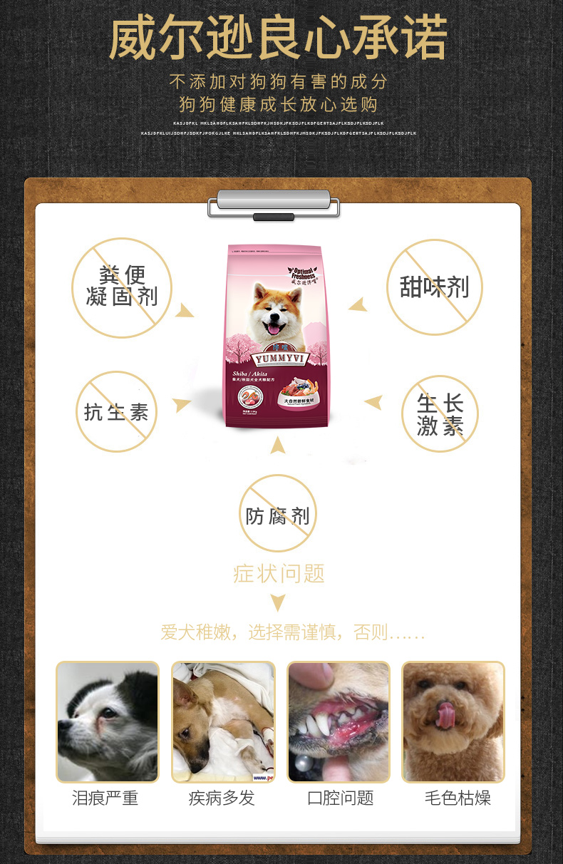 Wilson cười toe toét với chó Shiba Inu Nhật Bản thức ăn cho chó đặc biệt Akita Inu thức ăn cho chó 12 tháng trở lên 30 kg - Chó Staples bán thức ăn cho chó