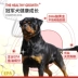 Huy chương vàng Rottweiler Hạt đặc biệt 10kg Thức ăn cho chó trưởng thành Chó lớn Chó con Thức ăn cho chó tuyết Núi ưa thích Thực phẩm tự nhiên - Chó Staples