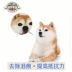 Thức ăn cho chó Shiba Inu Chó Akita Inu Thức ăn tự nhiên Chó vừa và nhỏ Thức ăn cho chó 10 kg Thức ăn cho chó Trung Quốc - Chó Staples Chó Staples