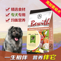 Pat 1 sends 3 Real companions Its natural grain Caucasian puppies dog grain medium dog staple grain 20 catties