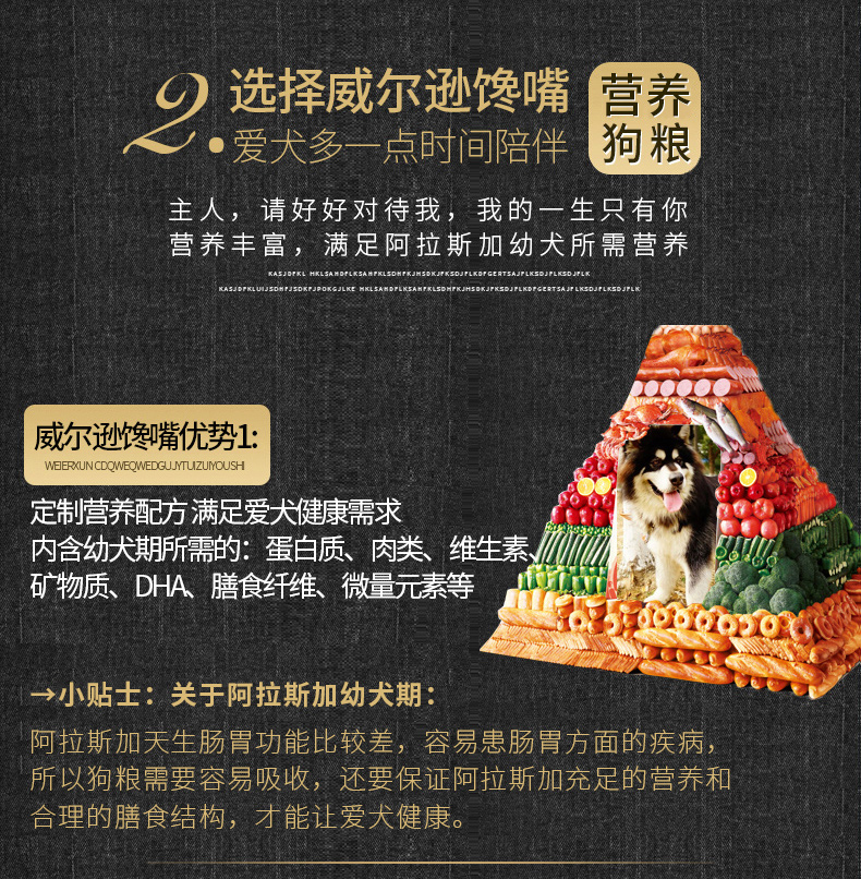 Thức ăn cho chó Alaska 30 kg chó lớn chó trưởng thành đặc biệt Husky Labrador chó con thức ăn cho chó 40 kg - Chó Staples cám chó
