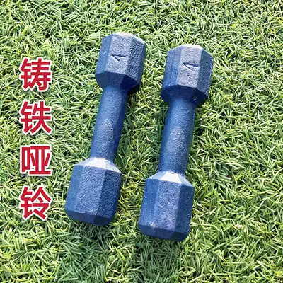 Cast iron dumbbell fitness yoga thin hip arm home paint dumbbell fitness sports equipment