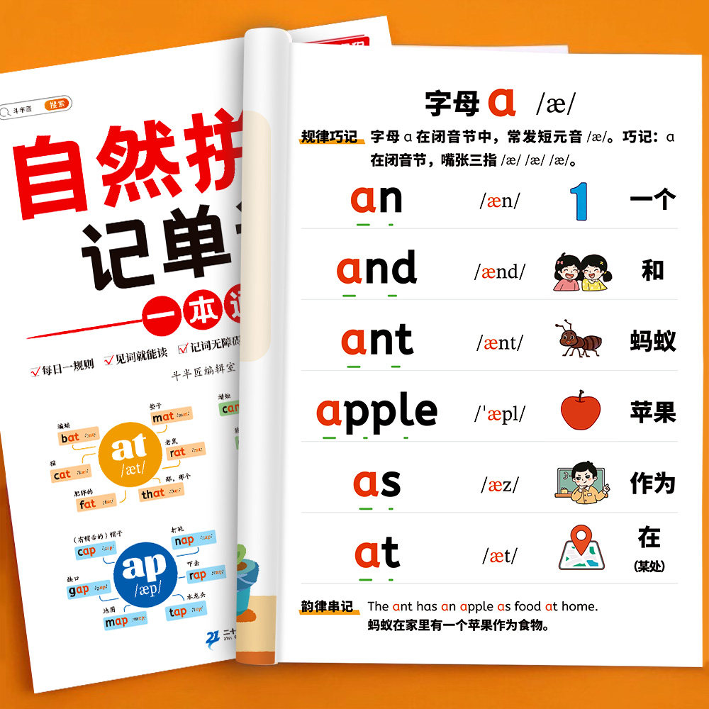 primary school english phonics & grammar workbook set vocabulary memorization