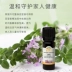 Yaqidu Ý nhập khẩu tinh dầu húng tây hữu cơ tự nhiên 10ml làm giảm đau bụng kinh và giảm huyết áp trực tiếp ở nước ngoài - Tinh dầu điều trị