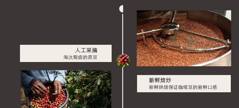 Oben xiango coffee bean -1_11.jpg