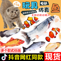 Net Red Emulation Fish Touch Electric Grass Fish Teasing Cat Dog Pets Beating Gin Carp USB Charging Childrens Toys