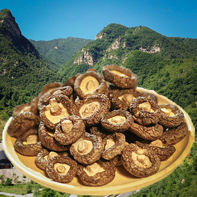 Fuppinte production of selected deep mountain small shiitake mushroom species mushrooms when season new stock cut root meat thick mushrooms 500g-Taobao