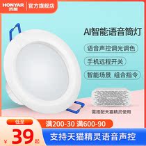 Hon Goose Intelligent Cylinder Light Led Sky Cat Elf Voice Control Dimming Toning Cylinder Lamp Embedded Home Ceiling Lamp