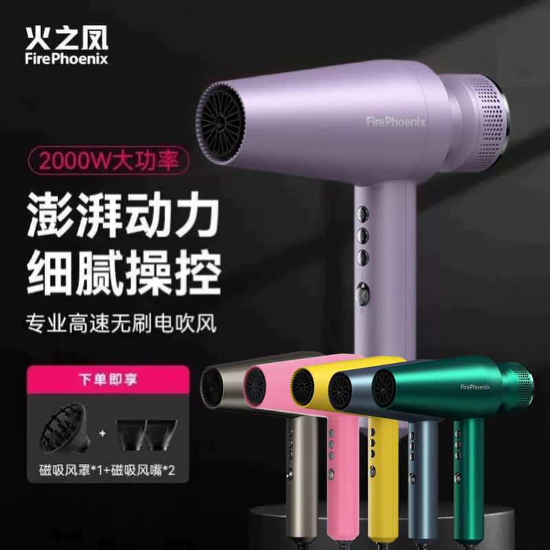 Fire Phoenix M2/M3 Hair Dryer High-Power Professional Salon Use Home Hair Dryer Negative Ion Hair Care Quick-Drying