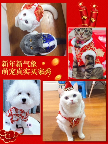 Кошачья одежда зимой, теплый котенок и щенки новогодние приветствия для осени и зимнего питомца Тедди собака Новая годовалая одежда
