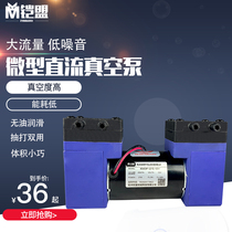U15 double-headed DC vacuum pump Small 12v air pump Diaphragm pumping negative pressure pump High vacuum silent 24v mini