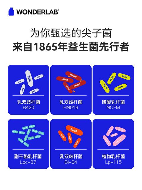 Wonderlab Small Blue Bottle All-Purpose Probiotics for Adults, Children, and Women to Regulate the Gastrointestinal Tract, Genuine Product