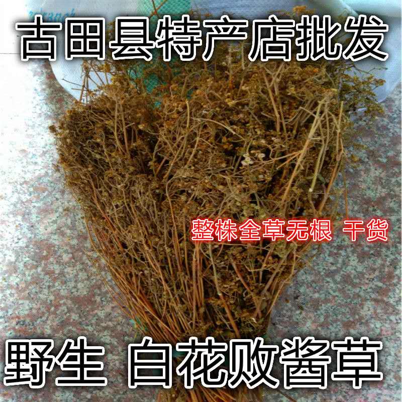 Fujian wild white flower lost sauce grass bitter cauliflower bitter leaf vegetable Wild bitter vegetable four-season vegetable dry goods 500 grams