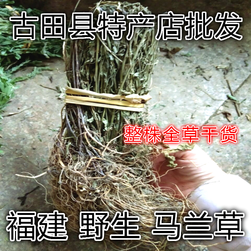 Natural horse blue grass horse blue grass purslane roadside chrysanthemum horse langtou taiga grass horse bluetooth dry goods 500g