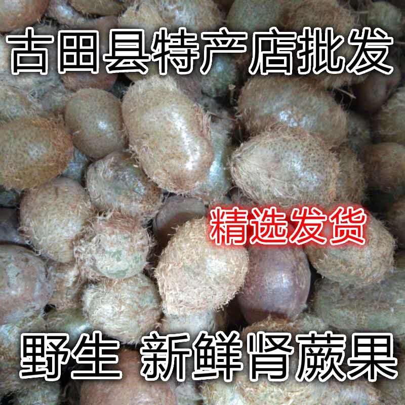 Fresh Natural Kidney Fern Fruits Stone Yellow Leather Round Goat Teeth Swan Egg Phoenix Egg 500g