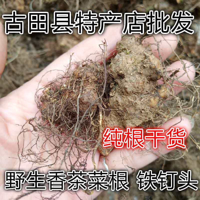 Natural fragrant tea vegetable root small leaf snake head tube iron water chestnut iron nail angle iron nail head pure root dry goods 500g