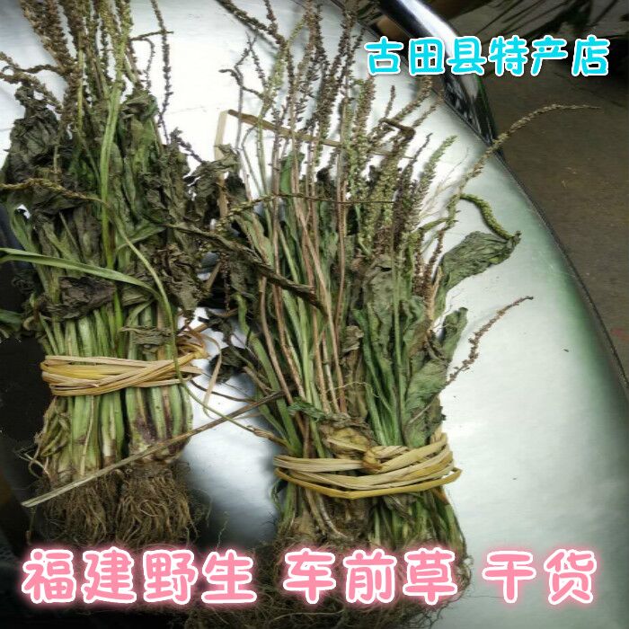 Natural plantain Grass Wheel Grass Clams toaster wheel Wheels Wheels Plantain Seed of Tongue Grass Dry Goods 500g