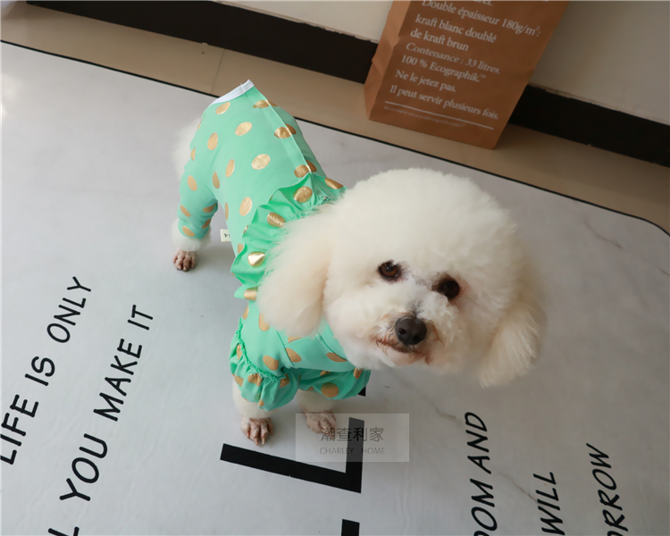 ] Teddy gấu Xiong VIP mùa xuân và mùa hè mỏng phần bụng bốn chân quần áo thú cưng bảo vệ bụng quần áo chó mùa xuân và mùa hè mỏng - Quần áo & phụ kiện thú cưng áo cho chó poodle