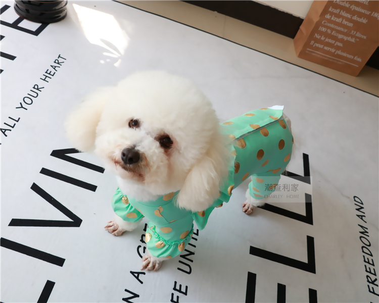 ] Teddy gấu Xiong VIP mùa xuân và mùa hè mỏng phần bụng bốn chân quần áo thú cưng bảo vệ bụng quần áo chó mùa xuân và mùa hè mỏng - Quần áo & phụ kiện thú cưng áo cho chó poodle