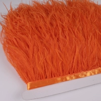 Оранжевый один метр