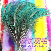 Волосы павлинового края 30-40 см