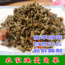 Anhui Trinatal pickled Chestnut Horn Chestnut Farmhouse Specialty small vegetable pickles Leftover Rice Vegetable Pickle sauerkraut 400 gr