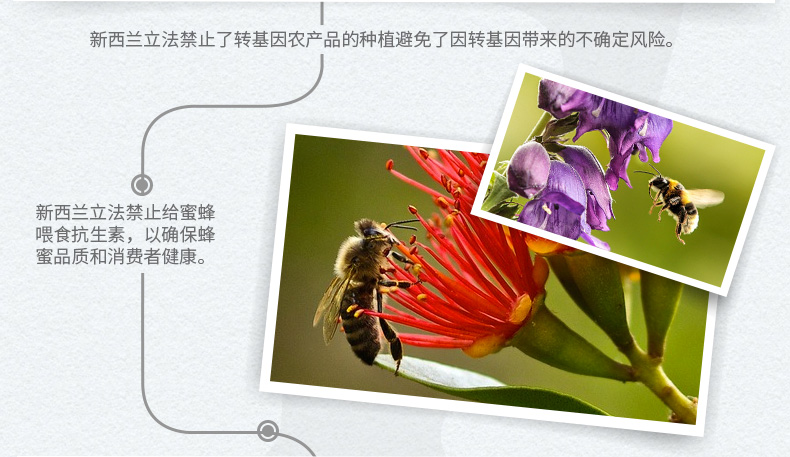 新西兰原装 蜜滋兰 百花蜜 500g 3万评价4.9高分 图5