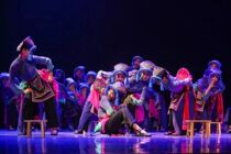 Dancing Arts Daughter Embroidered 12th Peach Lee Cup First Original Stage Performance Clothing Professional Custom