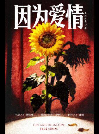 小柯经典IP剧《因为爱情》