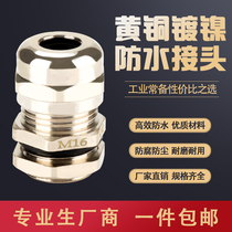 NPT type G type brass nickel plated metal stainless steel waterproof connector Glan head mechanical hardware connector