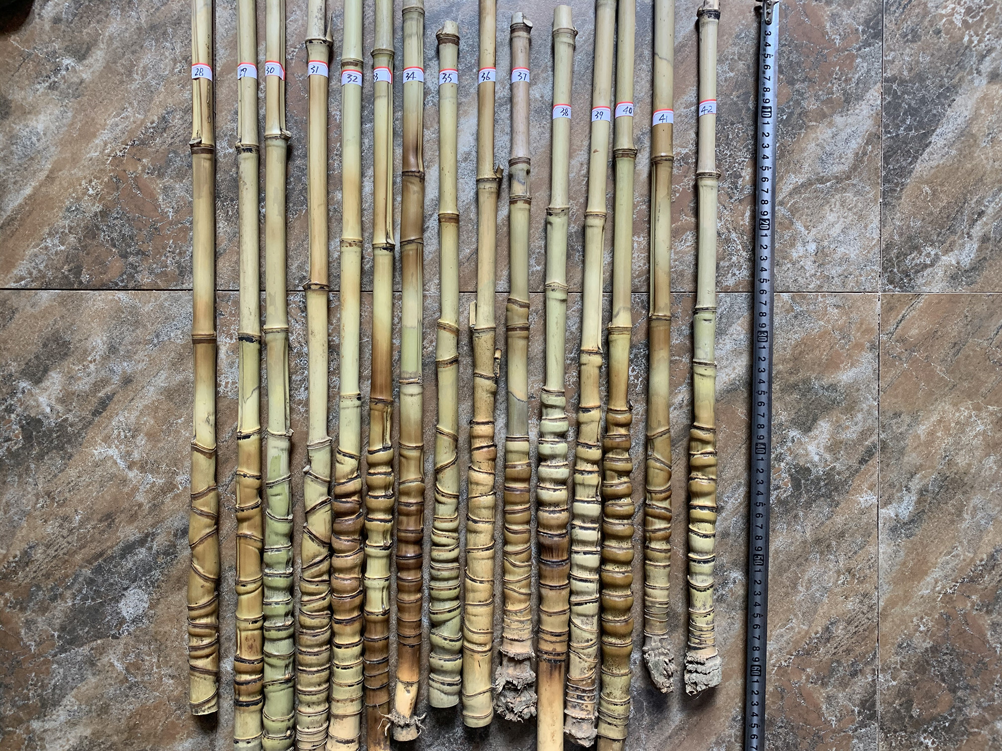 Newly arrived Luohan Zhujing Hu Danzi Jinghu Pole Huqin Pole Erhu Qin Pole Tortoise Shell Bamboo Pipe Jinghu Xipi Erhuang