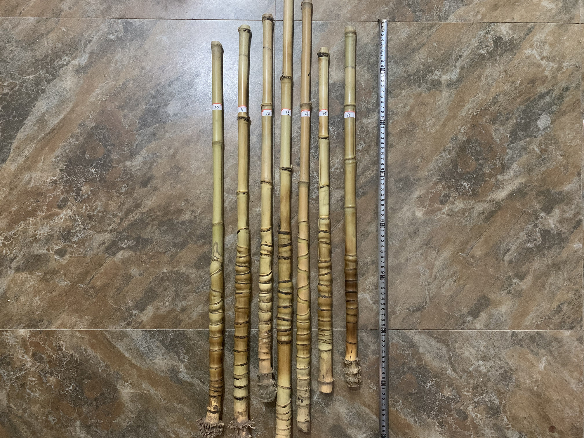 New to Rohan Zhujing Hu-shoulder son Jinghu pole Hu Qin pole 2 Huqin Tortoise Beetle Chia Bamboo's Khuxipi Erhuang