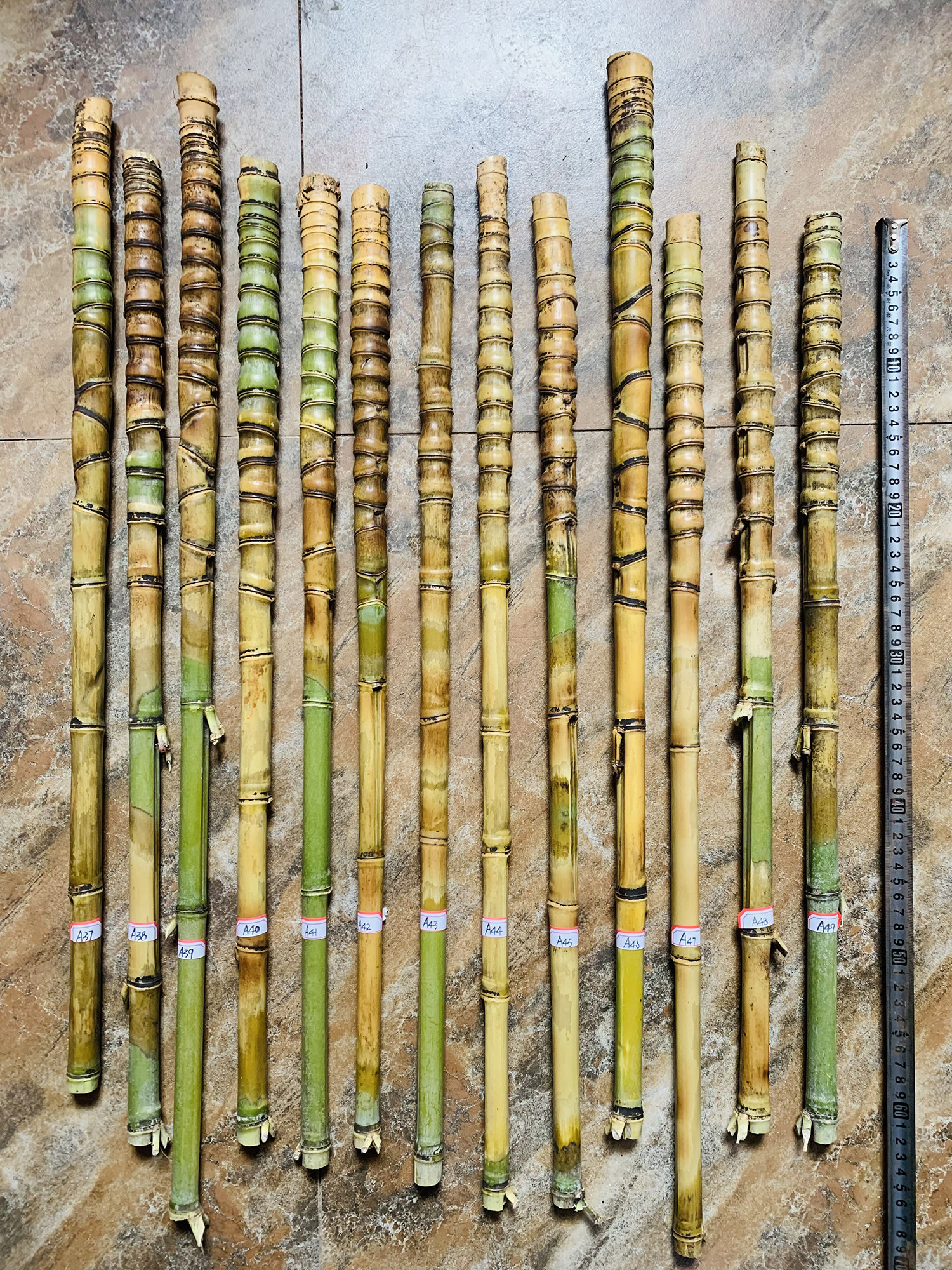 新到罗汉竹京胡担子,京胡杆的选择指南-京胡-淘宝好物网