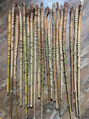 Special deal with Luohan bamboo fan bone raw material handlebar raw material turtle bamboo craft gift decoration raw material fishing rod