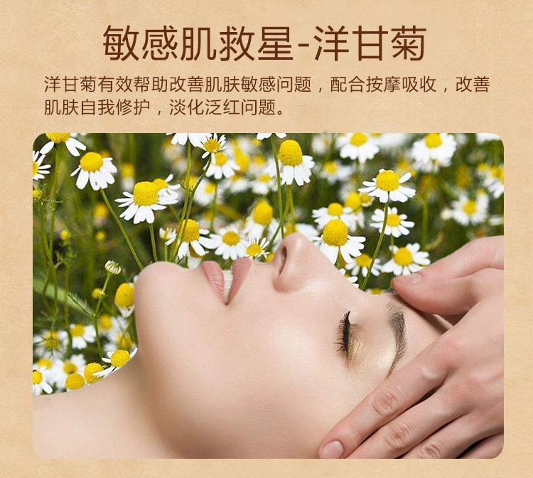 Hoa cúc da nhạy cảm dưỡng ẩm mặt để máu đỏ kem massage mặt beauty salon đặc biệt kem massage mặt hoa cúc