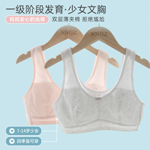Princess Noro Girl Girl Underwear One Stage Hair Development Period Little Vest Thin summer junior high school girl bra cotton