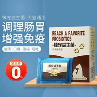 Рубао 湟   粉 骼 骼 骼 骼 骼 骼 骼 骼 呕 鹈 鹈      
