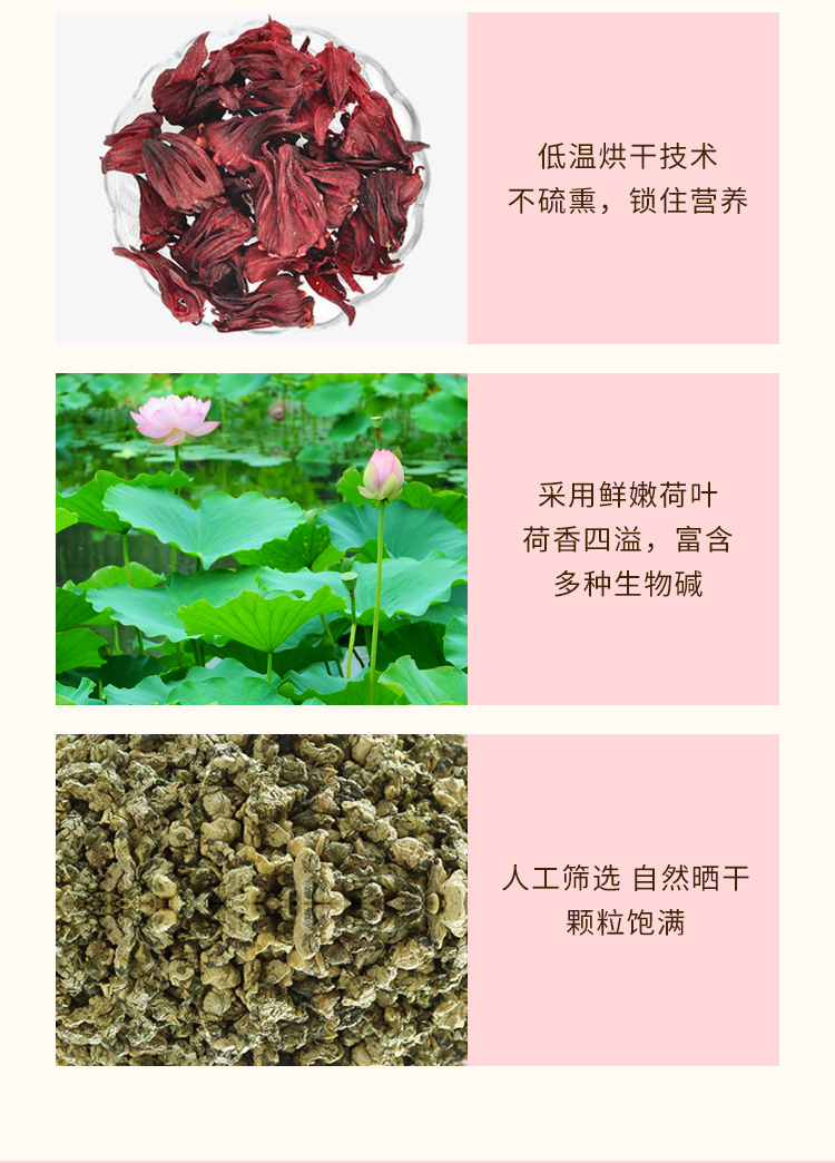 【芳儒】洛神花荷叶茶养生花茶