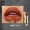 Mary Daijia Knight Little Gold Tube Lipstick Spring / Summer Màu mới Bộ son môi thương hiệu lớn chính hãng Mô hình thích hợp Li Jiaqi khuyên dùng - Son môi