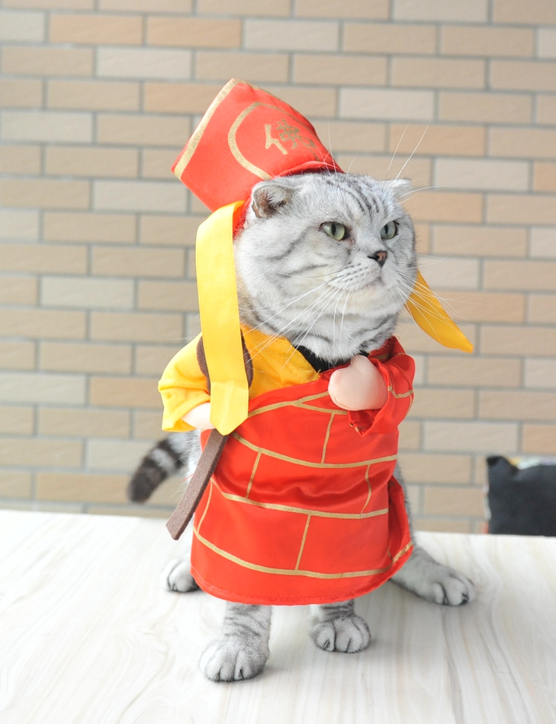 Fahai pet biến đổi quần áo mèo quần áo chó Tang Hao nhân viên thẳng lên quần áo thú cưng Anh ngắn trang phục mèo xanh - Quần áo & phụ kiện thú cưng áo tết cho mèo	