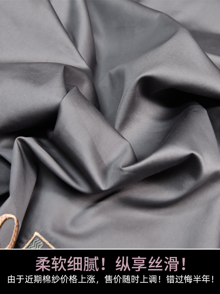 Class a Light Luxury Xinjiang Long-Staple Cotton Four-Piece Set, Pure Cotton Duvet Cover, High-End Feel Bed Sheet, Hotel Bedding