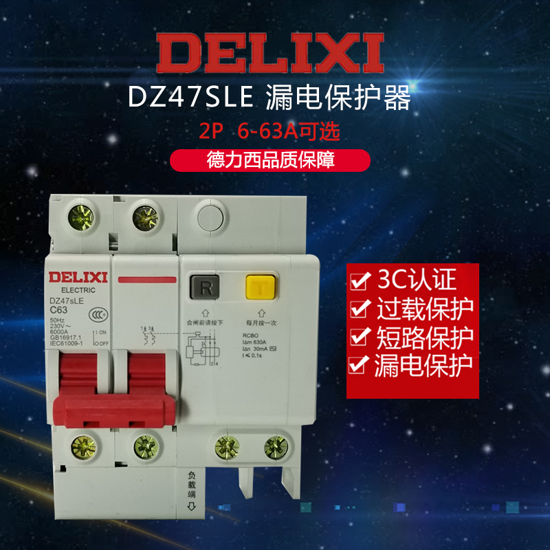 Delixi leakage circuit breaking protector DZ47sLE 2P 32A 63A 100A two-phase leakage insulation 125A