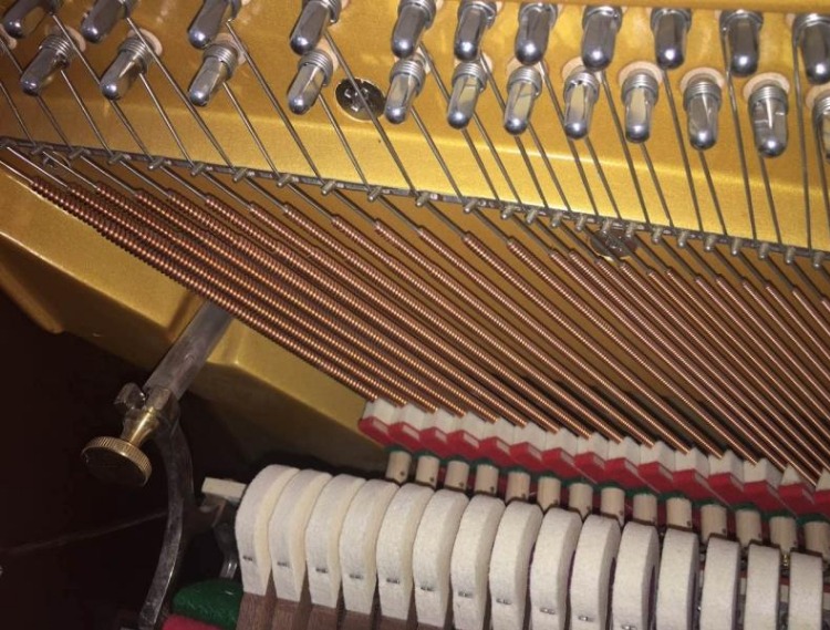 Đức Kapus mới gỗ rắn nhà dọc đàn piano E125 hiệu suất giảng dạy chuyên nghiệp - dương cầm dan piano dien