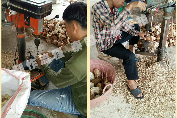 泰国木质青蛙摆件饰旅游纪念手工艺礼品木雕蟾蜍创意发声儿童玩具