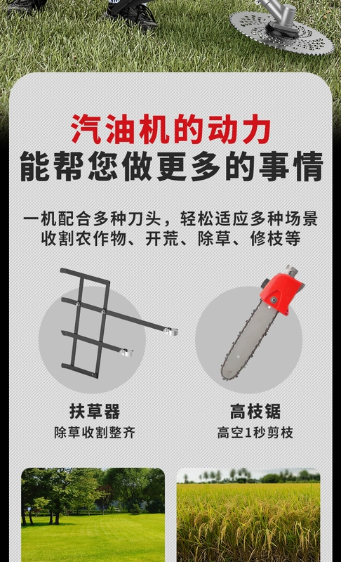 Delixi Điện không chổi than lithium-ion máy cắt cỏ công suất cao có thể sạc lại điện hộ gia đình nhỏ làm cỏ và dụng cụ làm cỏ