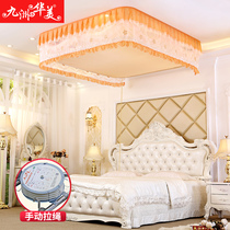 Ceiling lifting mosquito net Princess wind Court invisible folding encryption 1 8m1 51 2 stainless steel bracket household