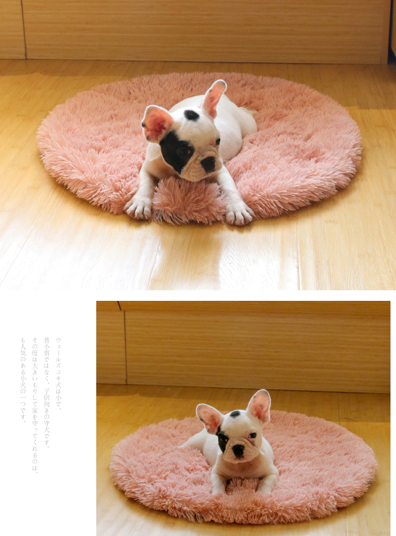 Chó mat ngủ bốn mùa phổ quát vật nuôi chăn mèo mat Teddy kennel mat nệm chó quilt - Cat / Dog hàng ngày Neccessities Hộp đựng thức ăn cho chó