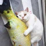 Игрушка, мятные реалистичные рыбки, подушка для правильного прикуса, кот, котенок