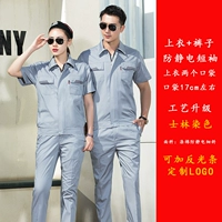 [Top+брюки] BDS-730 серые антистатические короткие рукава